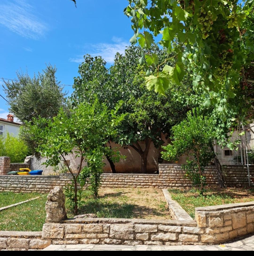 Villa Giulia Ližnjan Extérieur photo