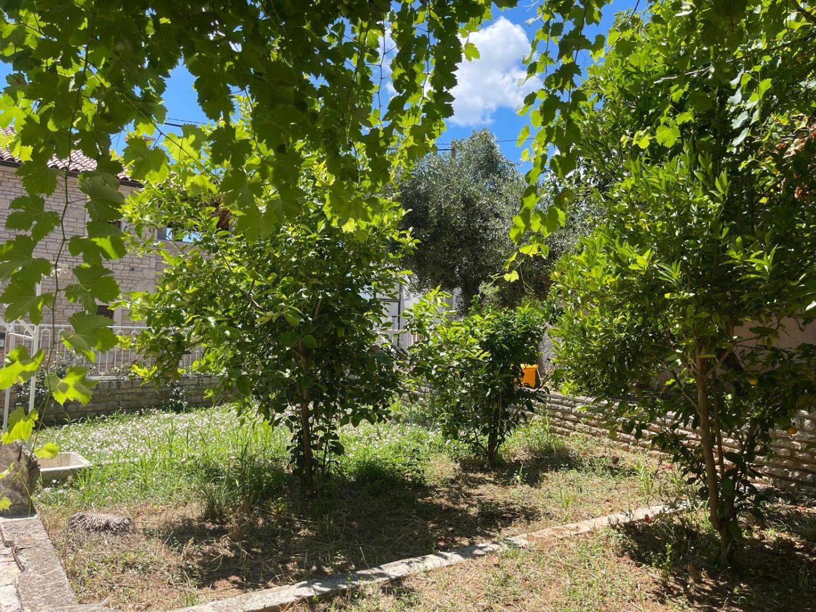 Villa Giulia Ližnjan Extérieur photo